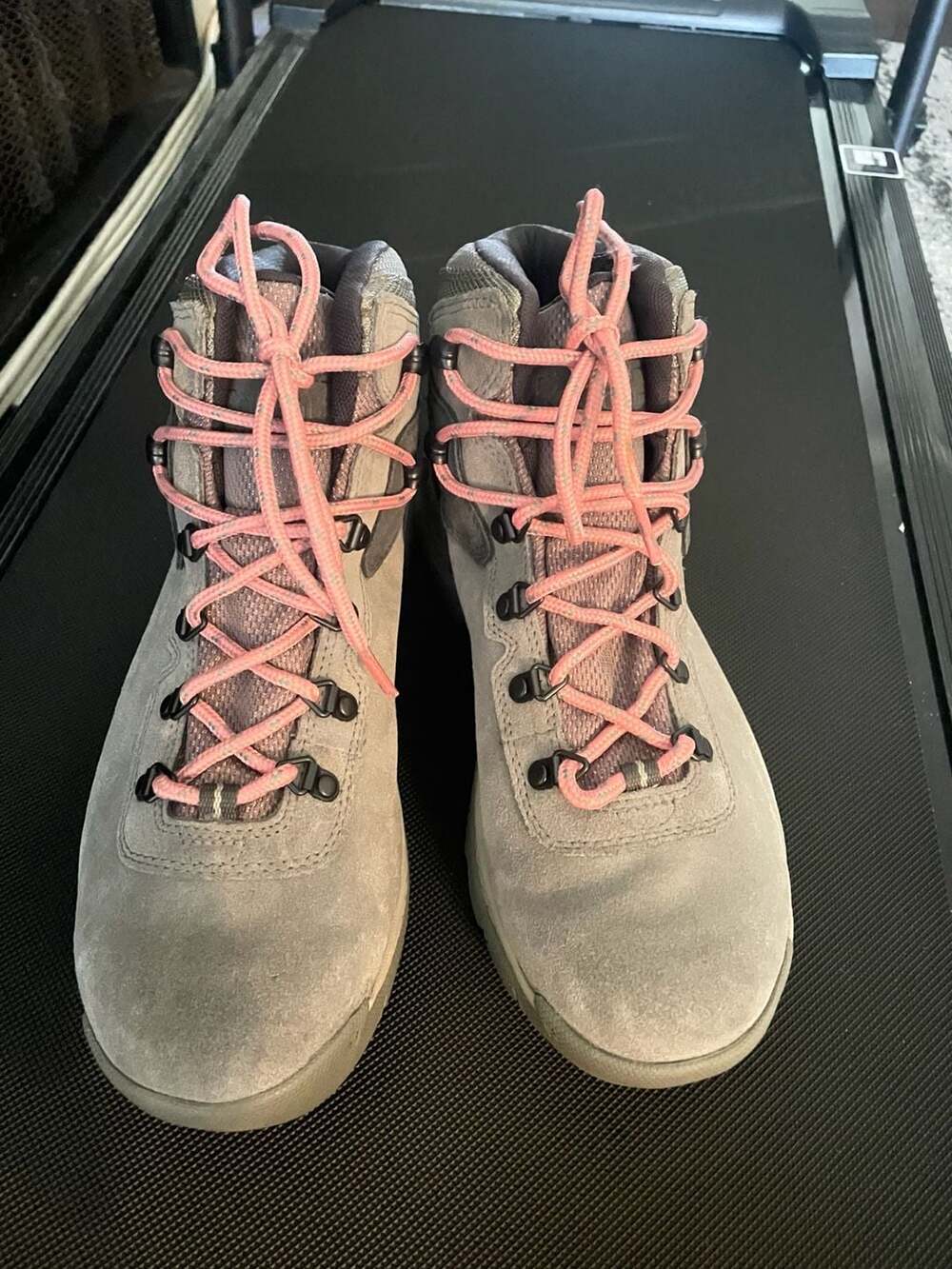 Columbia Women's Newton Ridge Plus Wp Amp Hiking Boot in Stratus/Canyon Rose